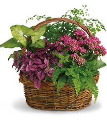 Secret Garden Basket from Maplehurst Florist, local flower shop in Essex Junction
